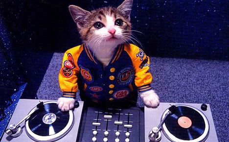 dj_activision.jpg